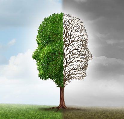 Advance Confidently in the Direction of Your Dreams